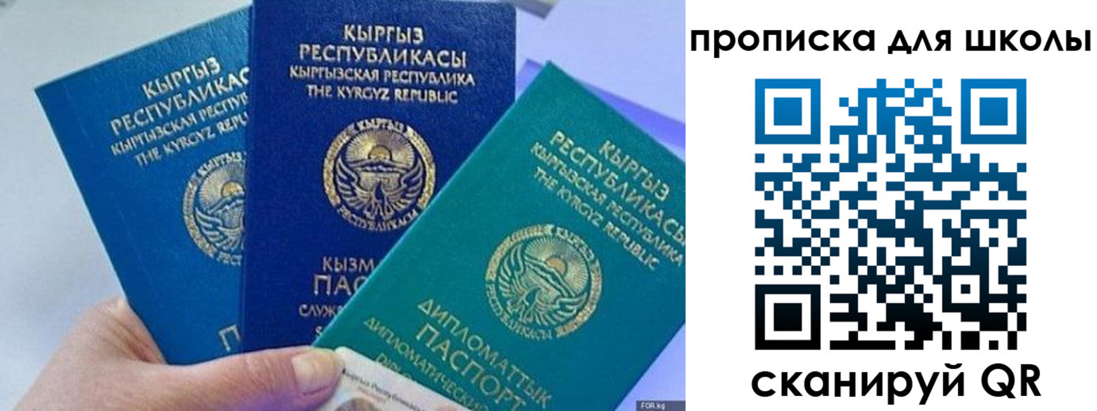 прописка регистрация в Советске